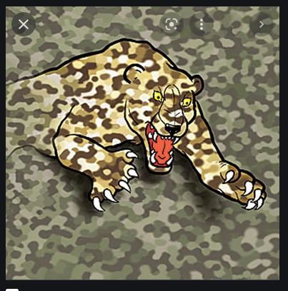 Leopard%20pattern.JPG