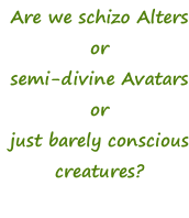 Are we schizo Alters or semi-divine Avatars or just barely conscious creatures?